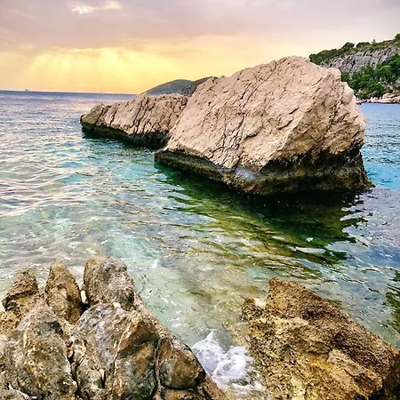 Marisa Hvar 흐바르